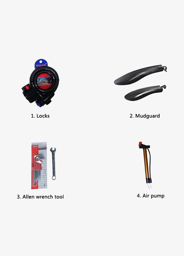 the components of LANKELEISI RV800 Plus, including locks, mudguard, allen wrech tool, air pump 