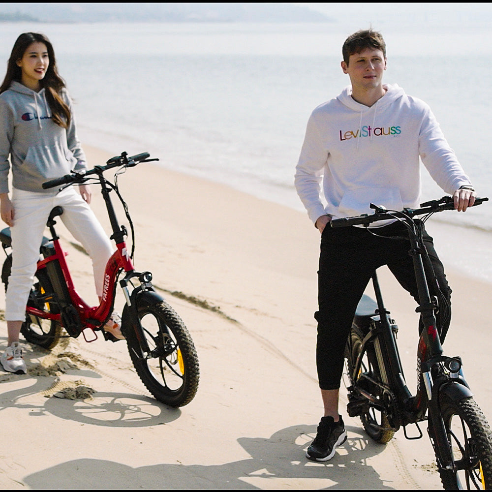2 people sit on the fafree f20 fat bikes on the beach