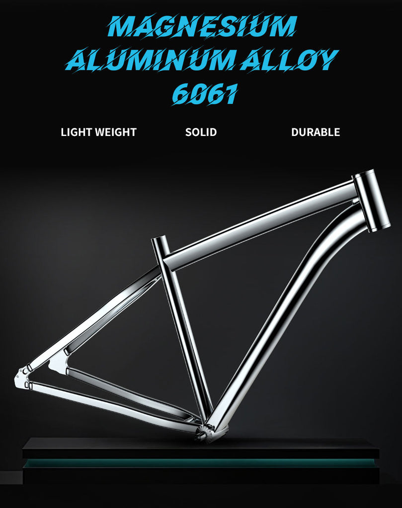 the  aluminum alloy 6061 